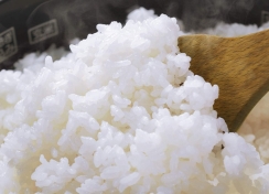 今年も新米の季節が到来!ガス炊飯器でさらにおいしく。