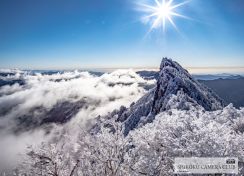 いろどり四国 【石鎚山 天狗岳】