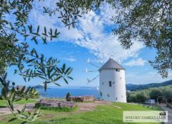 いろどり四国 【道の駅 小豆島オリーブ公園】