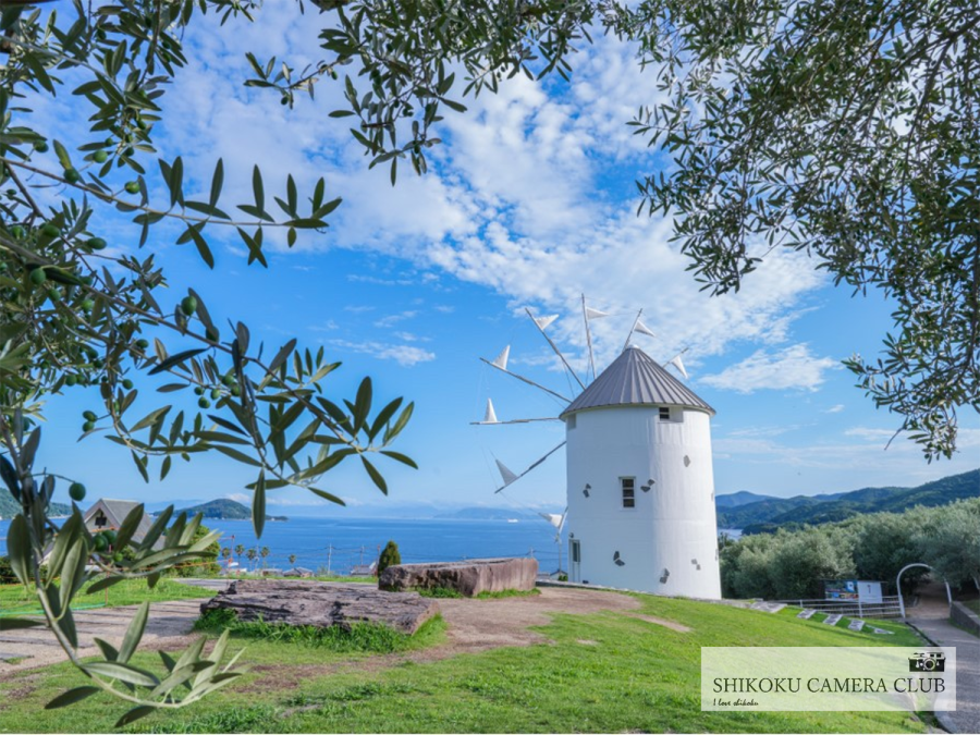 いろどり四国 【道の駅 小豆島オリーブ公園】