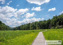 いろどり四国 【黒沢湿原(くろぞうしつげん)】