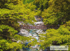 いろどり四国 【祖谷のかずら橋】